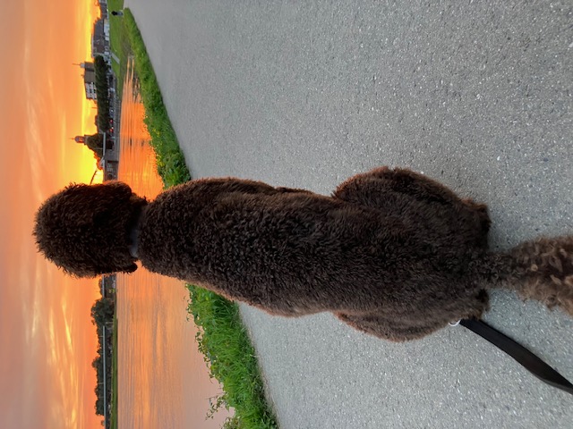 Zen.nl, Zen, meditatie, leren mediteren, foto